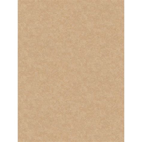 Buy Excel Wallpaper Plaster Granules With Beige Stucco Textured Online