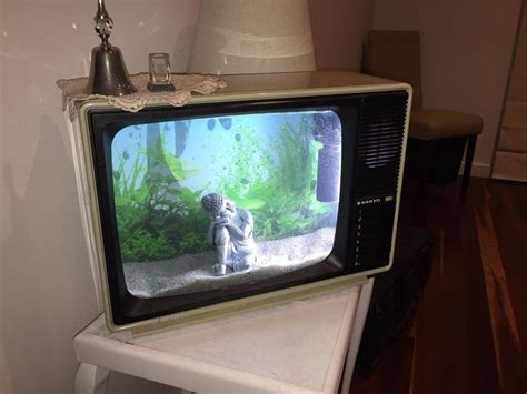 Bildergebnis für tv fish aquarium