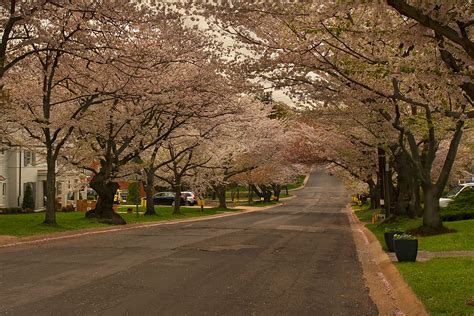 What's to Love About Bethesda, Maryland: A Washington DC Suburb