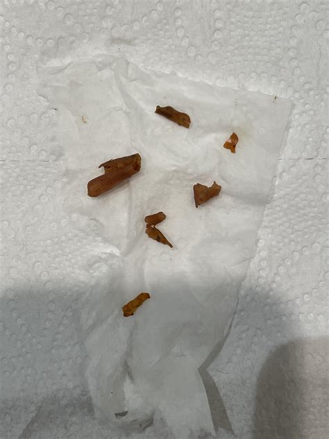 Liver flukes or food skin? Been noticing more and more of them they look reddish in stool and ...