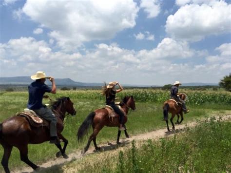 Absolutely Astonishing - Reviews, Photos - Rancho Xotolar - Tripadvisor