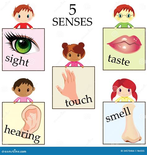 Five Senses Icons Royalty-Free Stock Photography | CartoonDealer.com ...