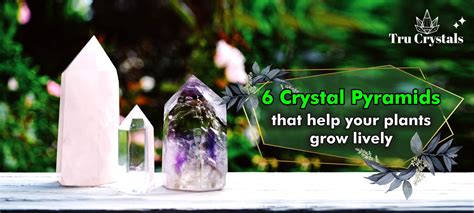 6 Crystal Pyramids that help your plants grow lively – Trucrystals.in