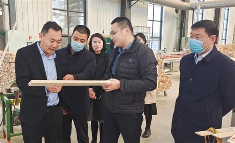 临沂市委统战部领导到义堂镇调研木业企业-中国木业网