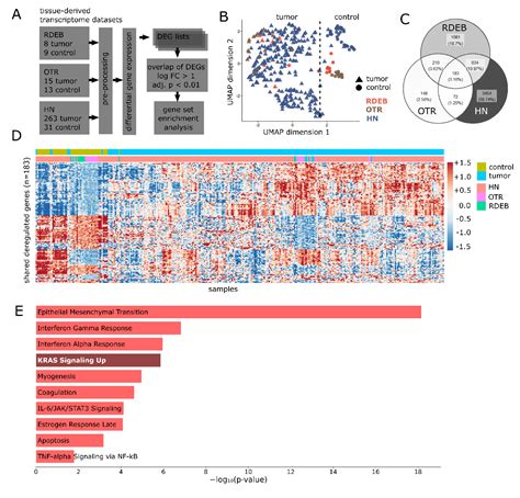 Transcriptome-Guided Drug Repurposing for Aggressive SCCs