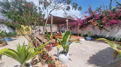 SALAMA & MBUYUNI BUNGALOWS (Zanzibar Island/Matemwe) - Inn Reviews ...