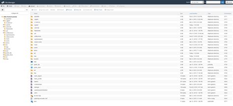 cPanel File Manager 的图像结果