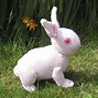 Image result for Small Cute Baby Bunny