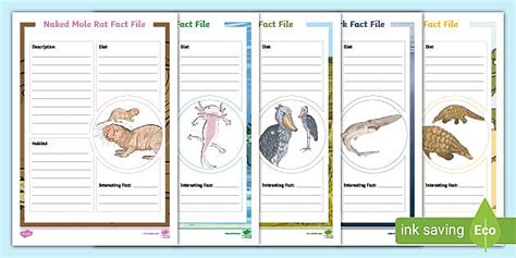 Strange and Wonderful Animals Fact File Worksheets