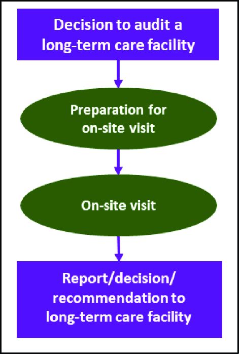 Audit Process Flow 的图像结果
