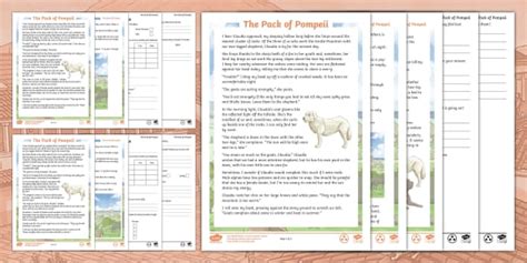 The Pack of Pompeii Reading Comprehension KS2 (teacher made)