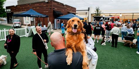 Yappy Hour, MarketStreet Lynnfield, 12 August 2025 | AllEvents