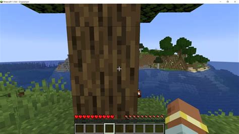 Image result for Entity Screen Minecraft Code