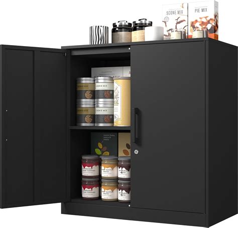 Amazon.com: IRONFFICE Metal Wall Cabinet,Wall Storage Cabinet with 2 ...