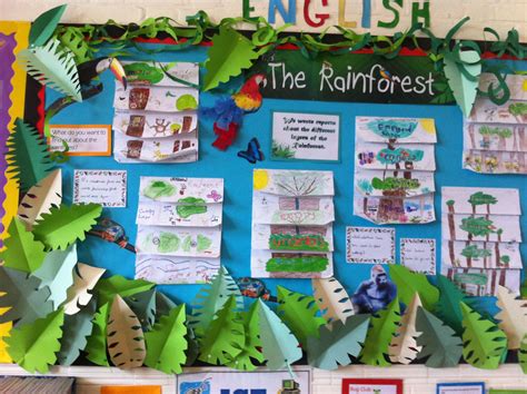 The Rainforest Display Y3 | Rainforest activities, Rainforest classroom, Rainforest theme