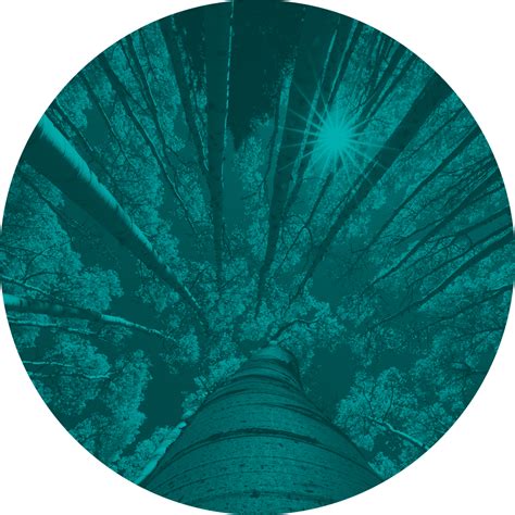 Teradata_Code_of_Conduct_2023