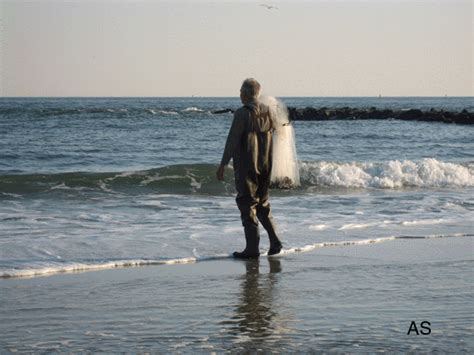 Image result for Cast Net Mullet Run