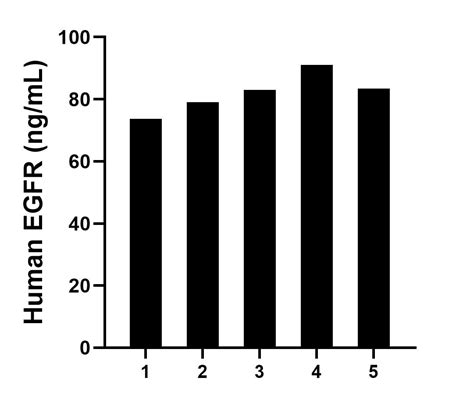 EGFR antibody (85039-3-PBS) | Proteintech