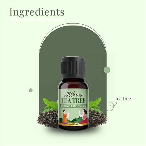 Buy Satthwa Organic Tea Tree Essential Oil for Aromatherapy & Wellness