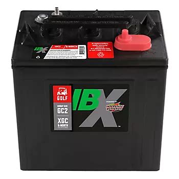 IBX Golf Cart Battery | BJ's Wholesale Club