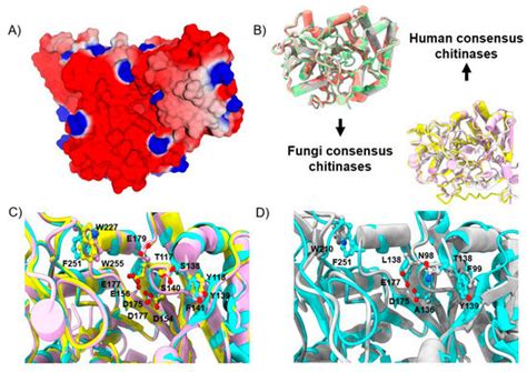 Discovery of Octahydroisoindolone as a Scaffold for the Selective ...