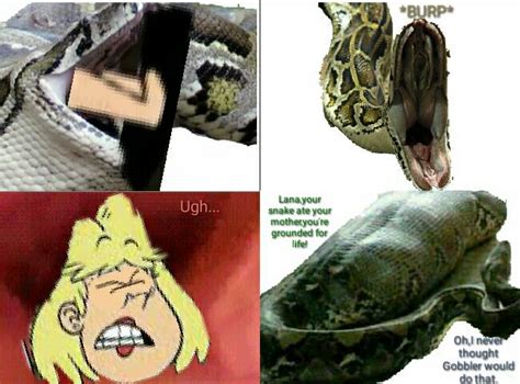 Image result for Python's Meal