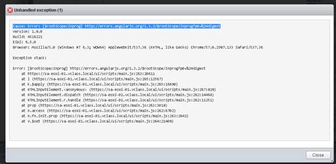 Unhandled Exception while logging into ESXi 6.5 Host client with Google ...