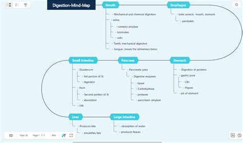 Mind Map Easy Simple 的图像结果