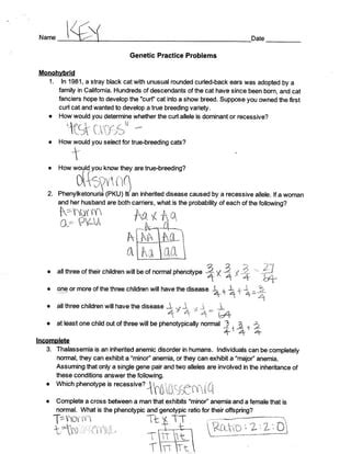 Image result for Simple Genetics Practice Problems Answer Key