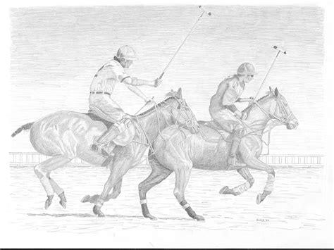 Polo 的图像结果