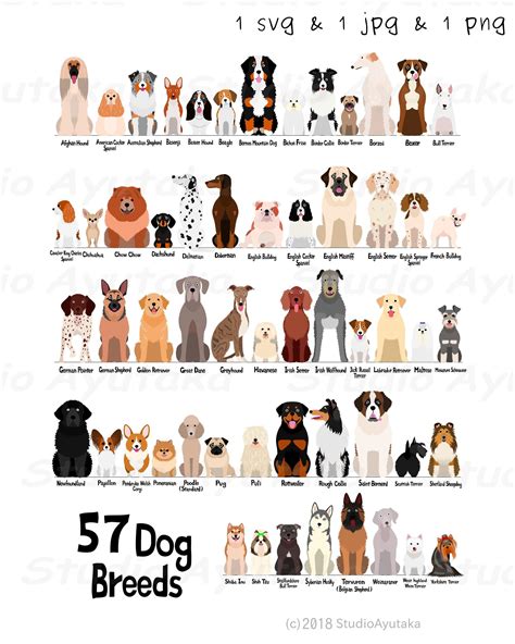 Dog Breeds Chart, Dog Chart, Dog Breeds List, Types Of Dogs Breeds ...