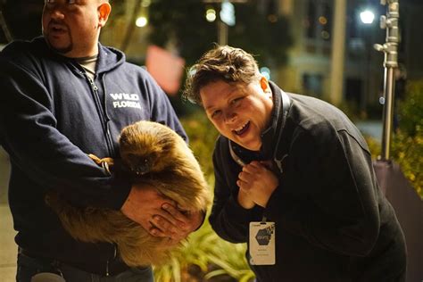 Tenable Office Photos