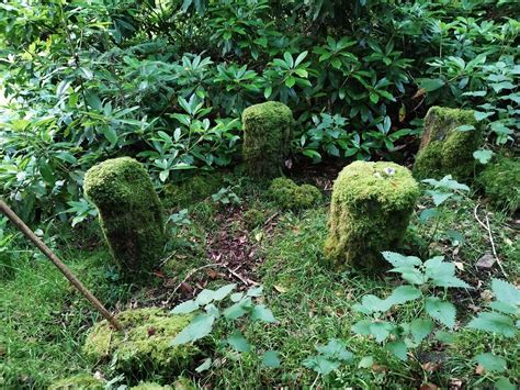 THE BEST Places to Visit in Baltinglass (2025) - Must-See Attractions