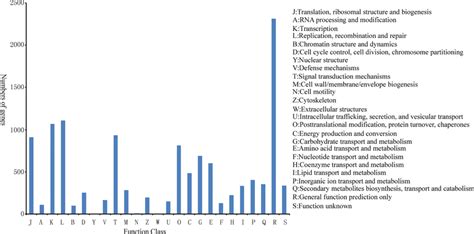 Image result for Licorice Classification Key