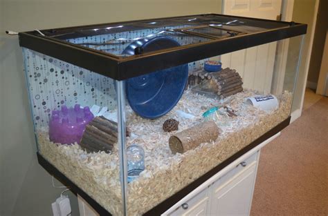 40 Gallon Breeder Tank Hamster - Wese Aquarium Fish
