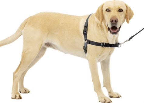 PetSafe Easy Walk No-Pull Dog Harness - The Ultimate Harness to Help Stop Pulling - Take Control ...