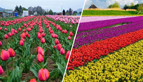 10 Beautiful Places in India That are Alternate for International ...