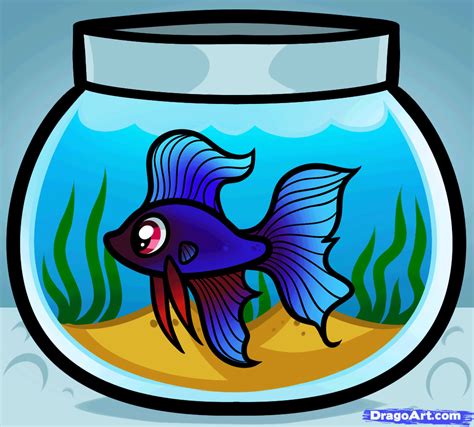 Image result for Monty Python Fish Tank Sketch