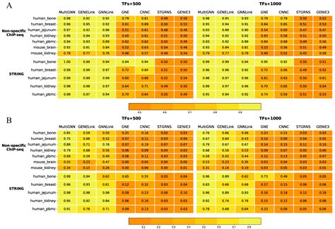 MultiGNN: A Graph Neural Network Framework for Inferring Gene ...