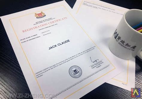 新加坡文书公证认证范本_新加坡公司公证认证样本