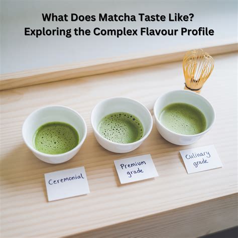 What Does Matcha Taste Like? Exploring the Complex Flavour Profile – ICHA TEA