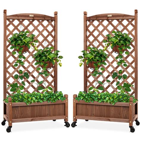 Buy Best Choice Products Set of 2 48in Wood er Box & Diamond Lattice ...