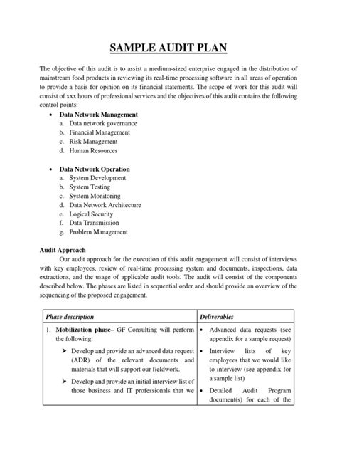 Audit Plan Objectives 的图像结果