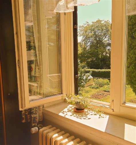 Image result for Window Sill Cottage Core