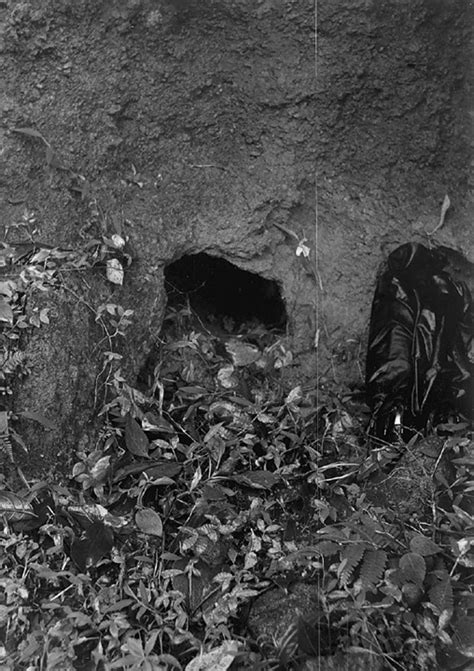 Can floods lead to drought? After the flood, severe drought looming ...