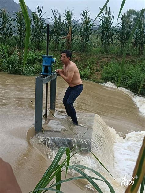 村民求助：水渠疑遭污染 农作物大面积受损|村民|受损|农作物_新浪新闻