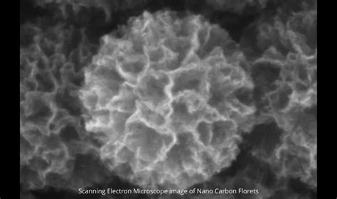 Nanocarbon Florets to Treat Industrial Effluents | Research Matters