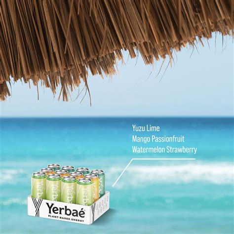 Snapklik.com : Yerbae Variety Flex Pack, Functional Energy Drink - 0 ...