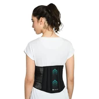 Buy ZEDAN Lower Back Brace Support/Lumbar Support | Waist Belt for Back ...
