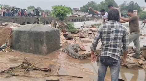 राजस्थान के बूंदी में टूटा बारिश का रिकॉर्ड, पुल टूटने से 20 गांव का ...